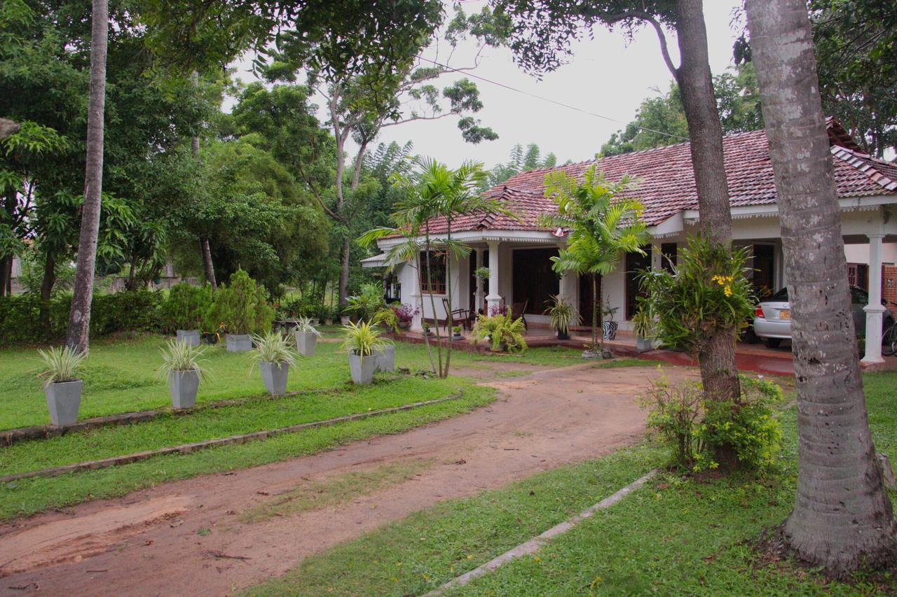 Coco Home Negombo Exteriör bild
