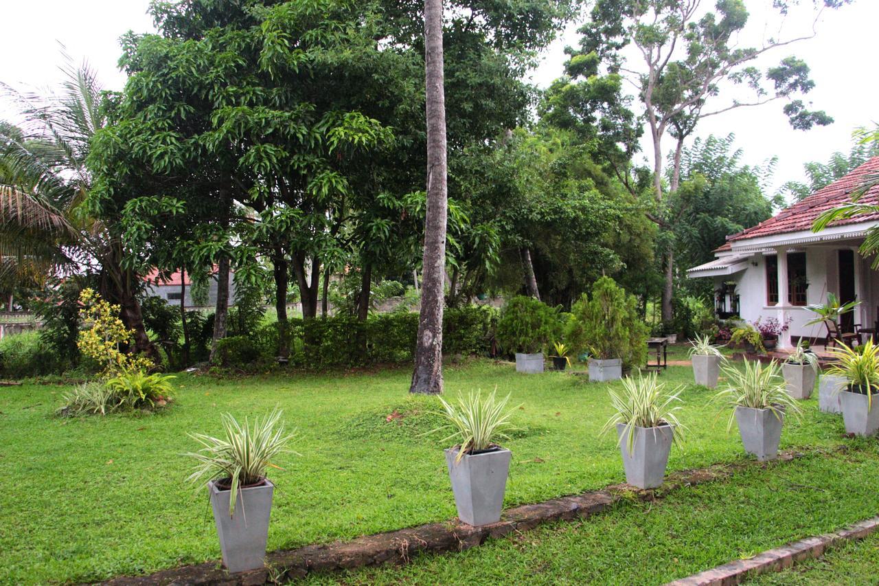 Coco Home Negombo Exteriör bild